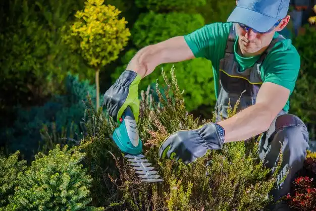 landscaping services Lynchburg